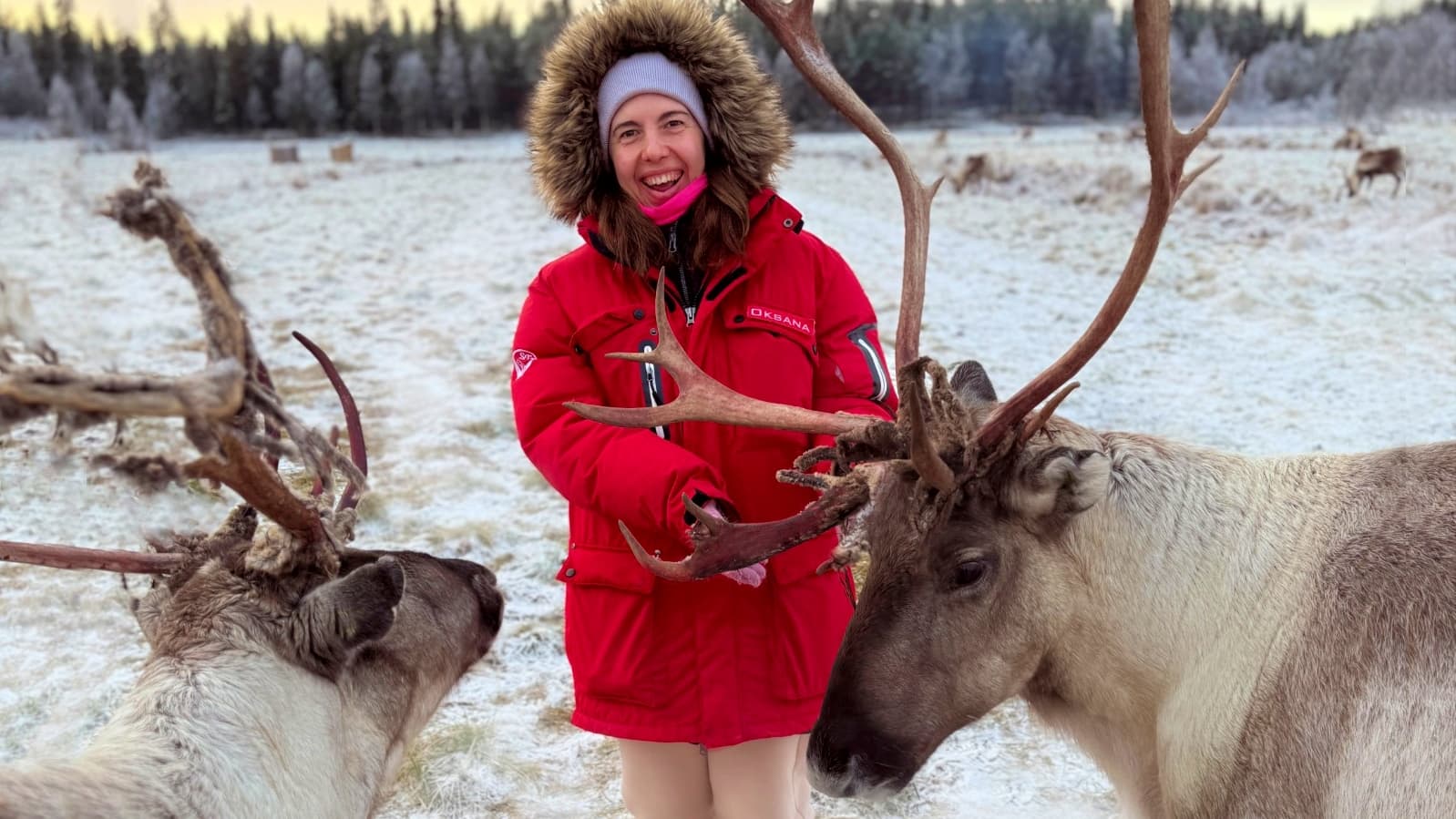 Super reindeer safari, Levi