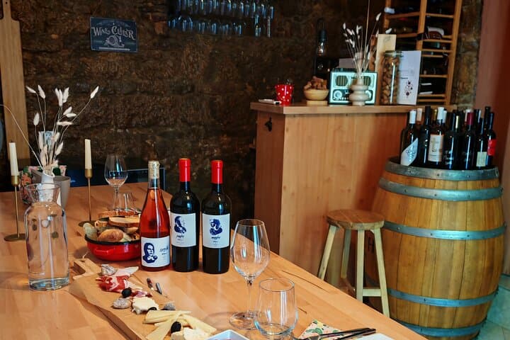 Dalmatian Wine Odyssey - Wine Tasting Experience in Split