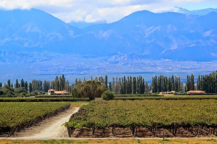 5-Day Salta Private Luxury Trip