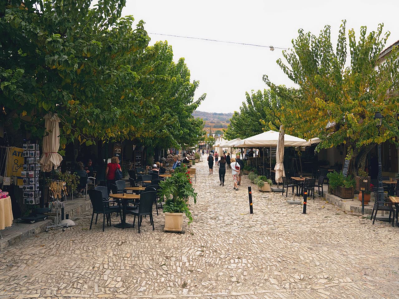 Paphos: Scenic Troodos Mountains Tour with Local Wine