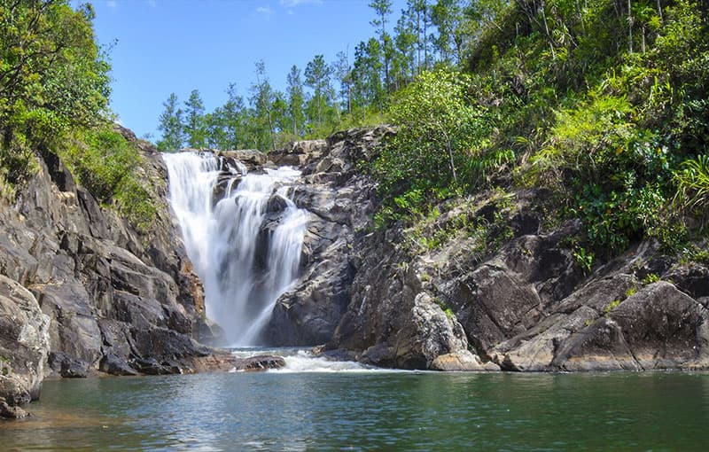 Mountain Pine Ridge Day Tour – From San Ignacio, Belize