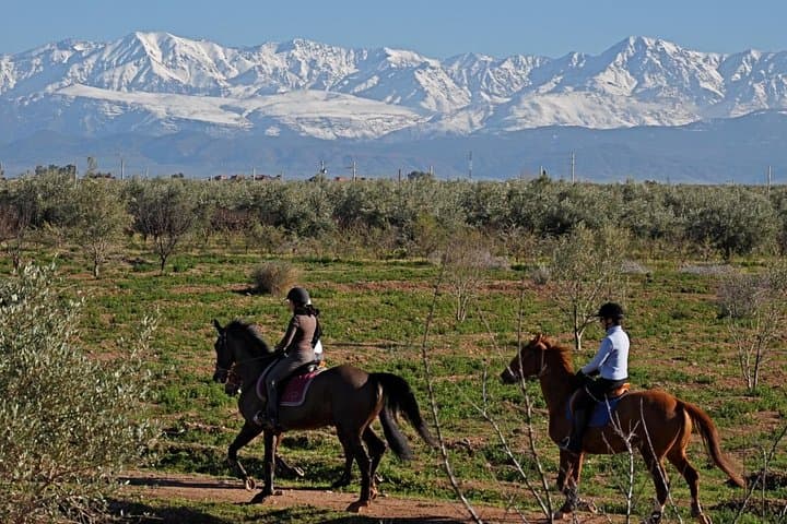 Marrakech Horse Riding