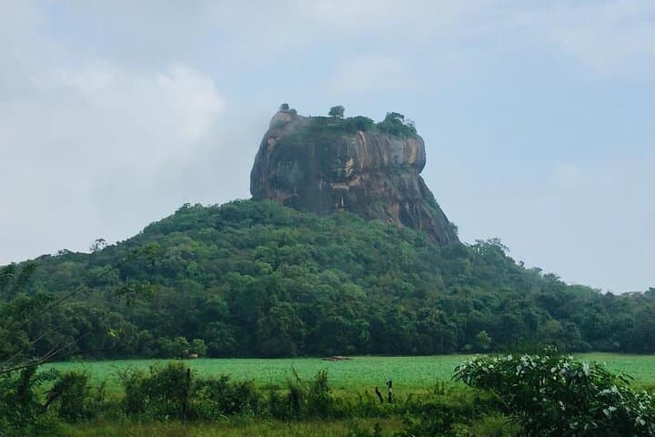 Sigiriya/Minneriya/Dambulla/Kandy/Ella 3 Day Tour from Pasikudah