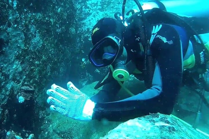 3 Hour Guided Scuba Diving in Trincomalee