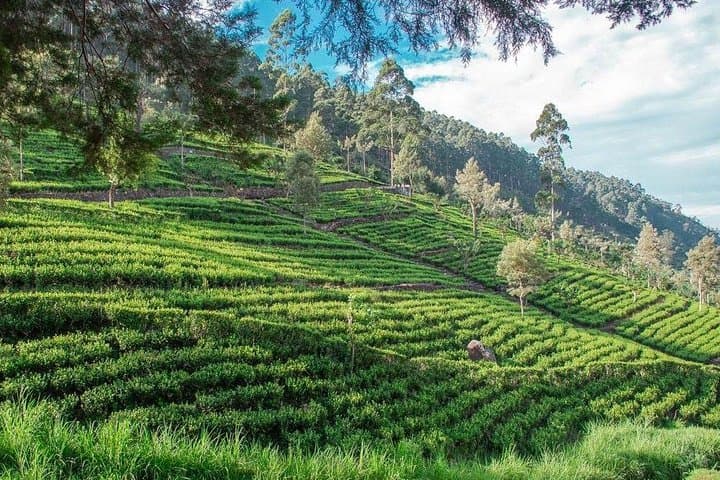 Glamour Of Sri Lanka | 7 Days