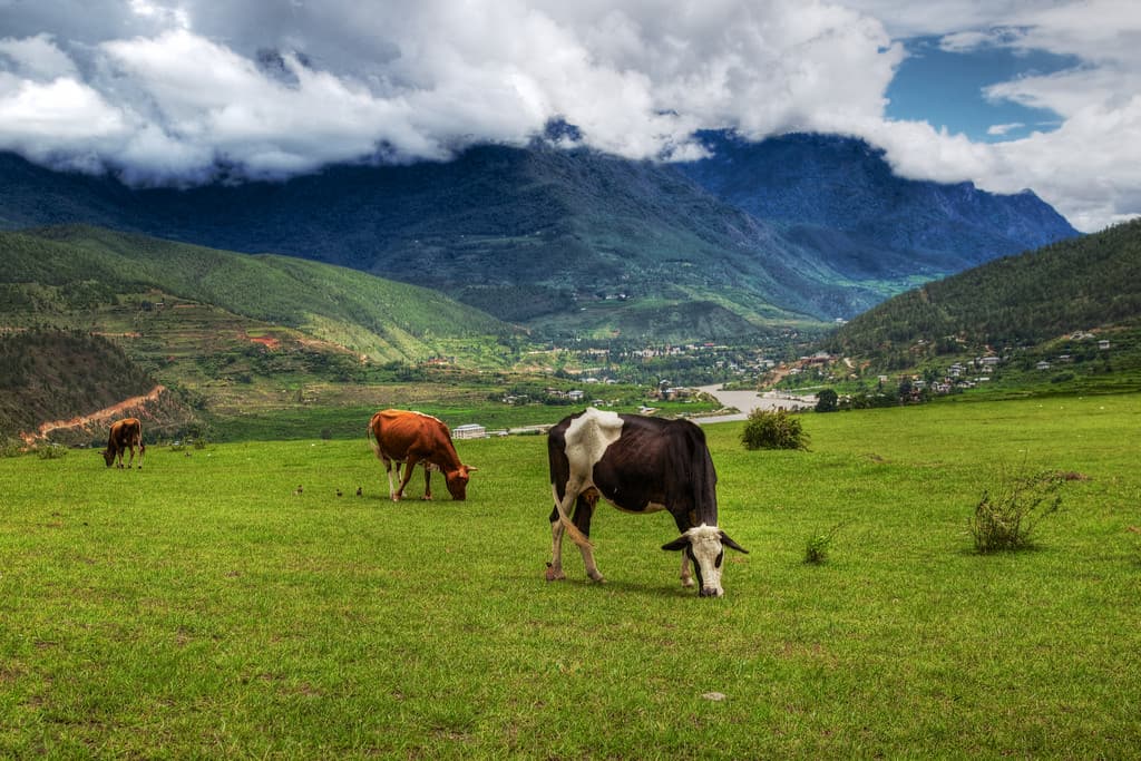 Magical Nepal Bhutan Tour - 15 Days