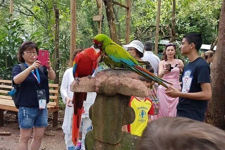Manawakie Wildlife sanctuary and Macaw Market 