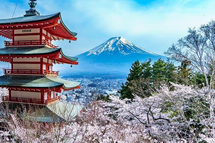 Private Mount Fuji Tour in Luxury Vehicle with English Guide