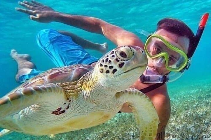 Bali : Blue Lagoon Snorkeling combine with Bali Swing in Ubud