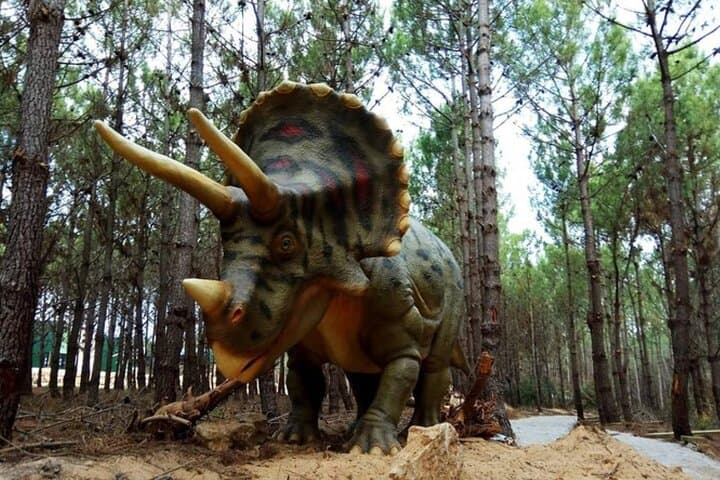 Dinosaurs Park - Family Half day tour