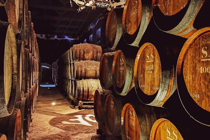 Arrábida & Sesimbra Day Trip from Lisbon – Wine Tasting, Nature and Beaches