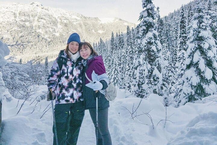 Banff Region Highlights Tour Lake Louise and More