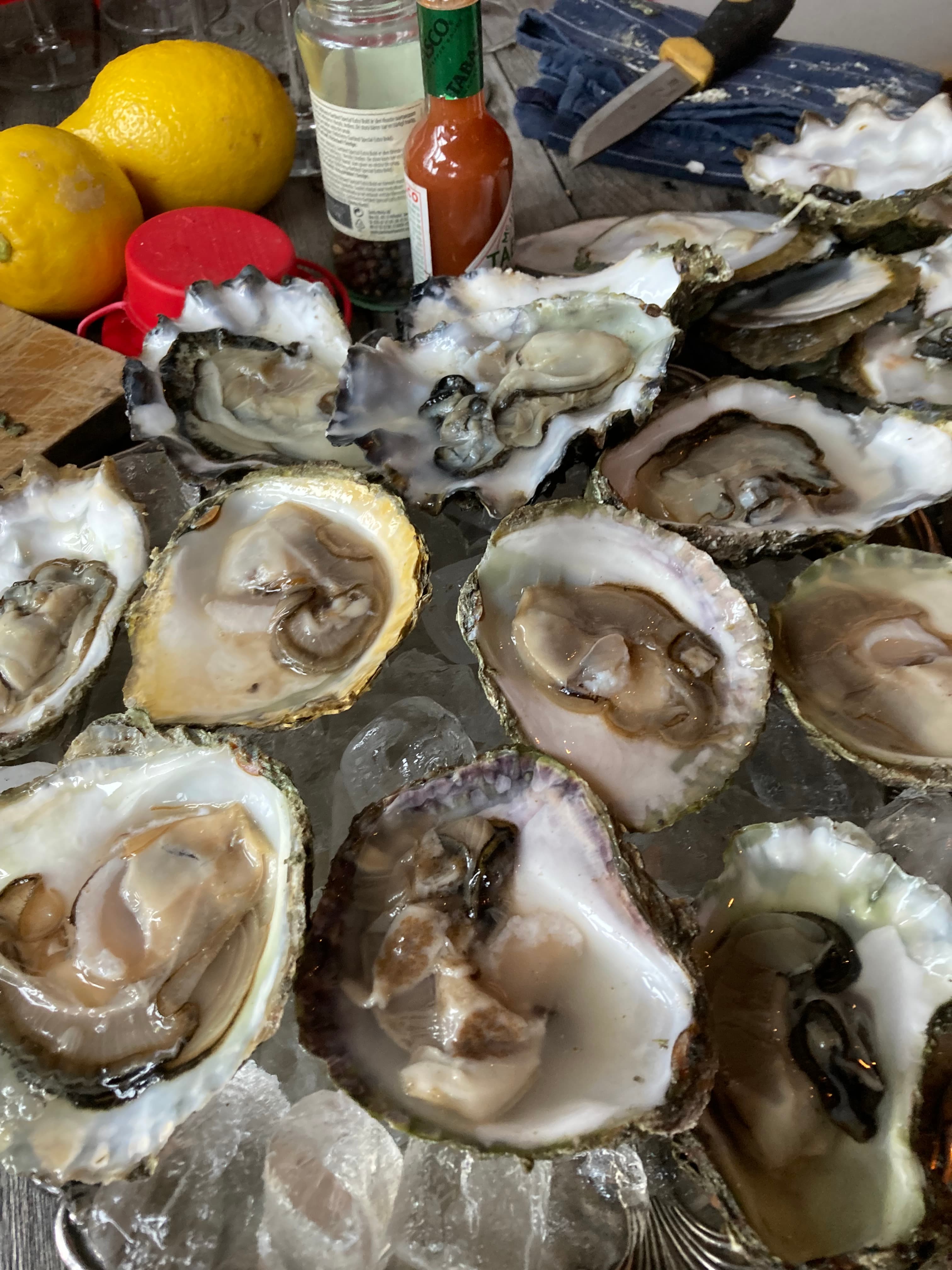 Oyster tasting & shucking