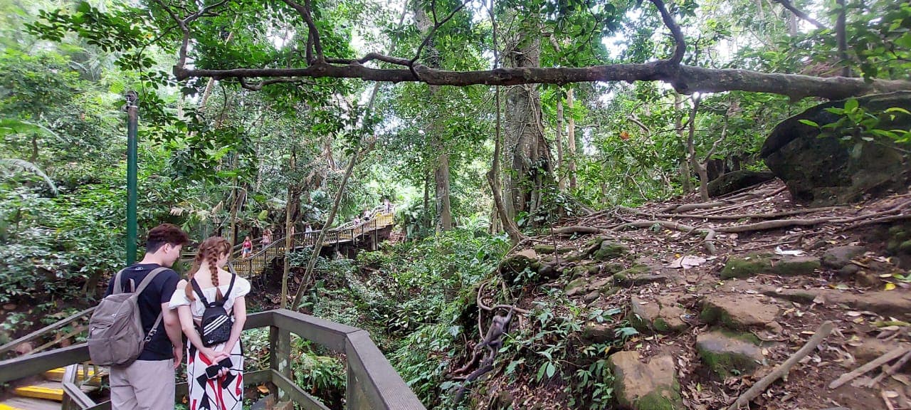 Full-Day Private Tour in Ubud with Rafting in Ayung River