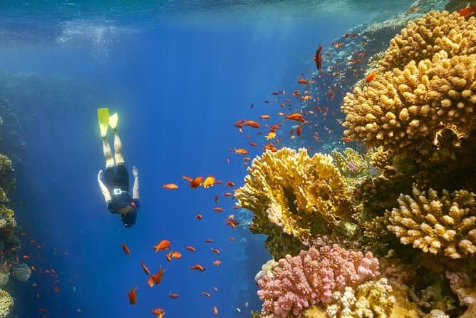 Tour a Dahab & Snorkeling al Blue Hole