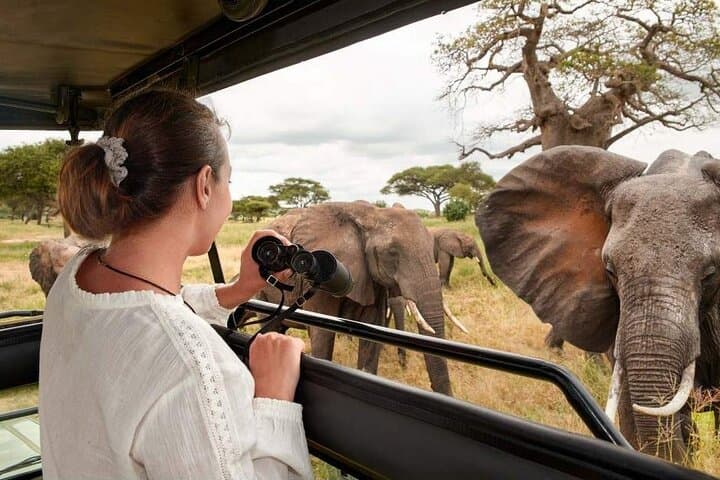 Mikumi National Park Safari Day Trip from Zanzibar