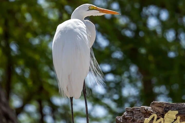 6 Days 5 Night Safari