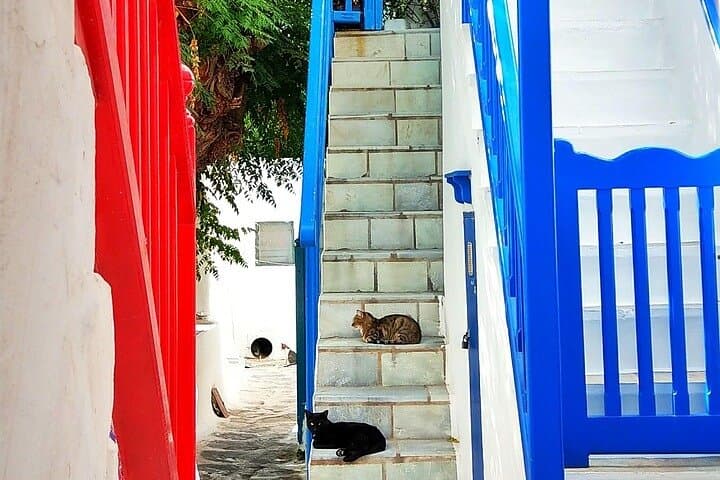 Private Mykonos Classic Island Tour