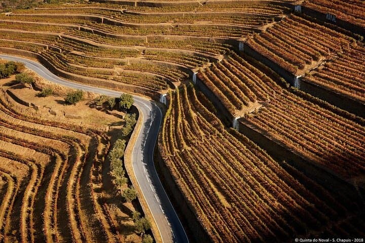 4×4 Douro Wine Tasting Private Tour