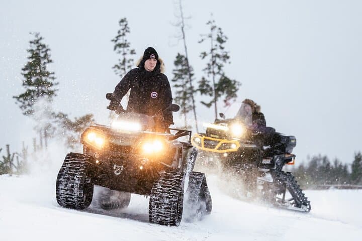 Expedition "INTO THE WILD" Safari and Lunch in Glass Igloo