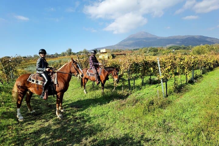 Pompeii Guided Tour & Horse Riding on Vesuvius with Lunch