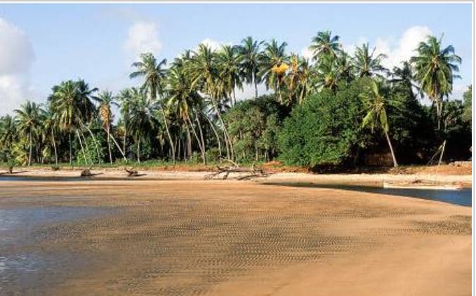 11 Day Amazing Kenya Lake Nakuru Hells-Gate Mara Tsavo- Beach Safari