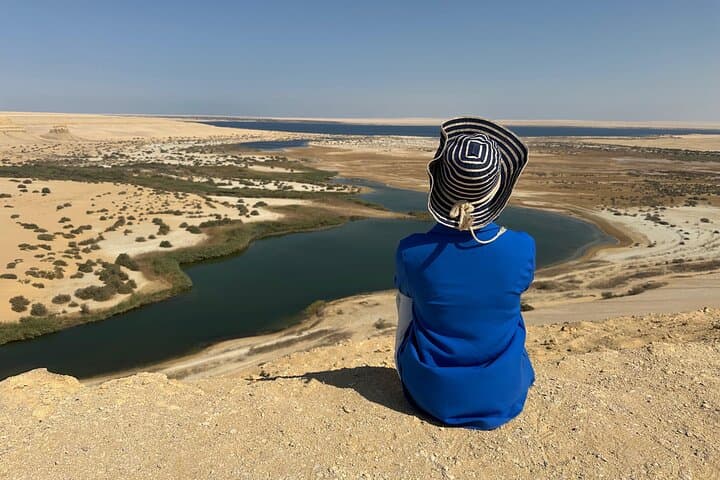 Fayoum oasis, whale valley, magic lake 10% to stray dogs &cats