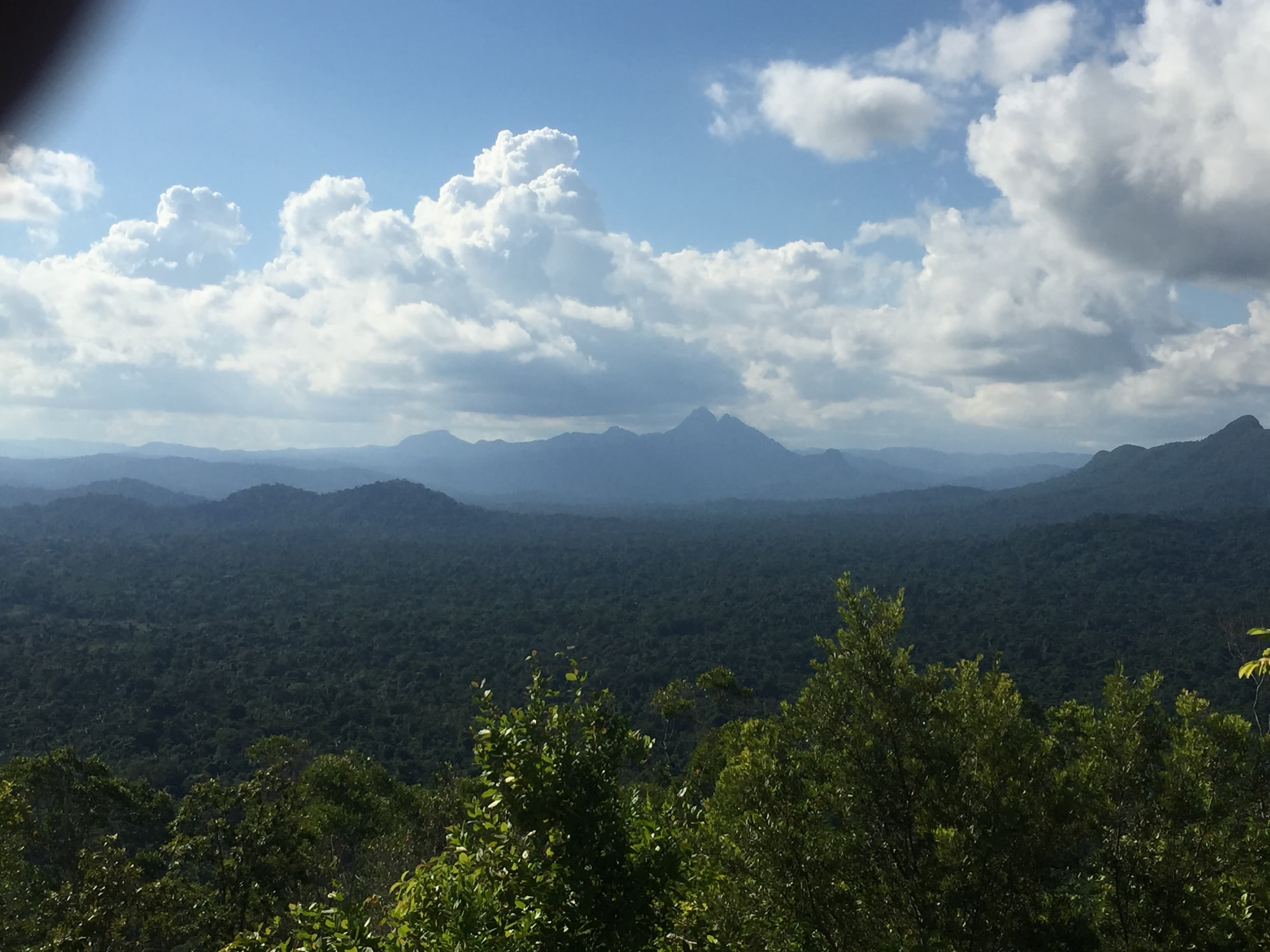  T4A-Exploring Cockscomb Basin & Nature Preserve