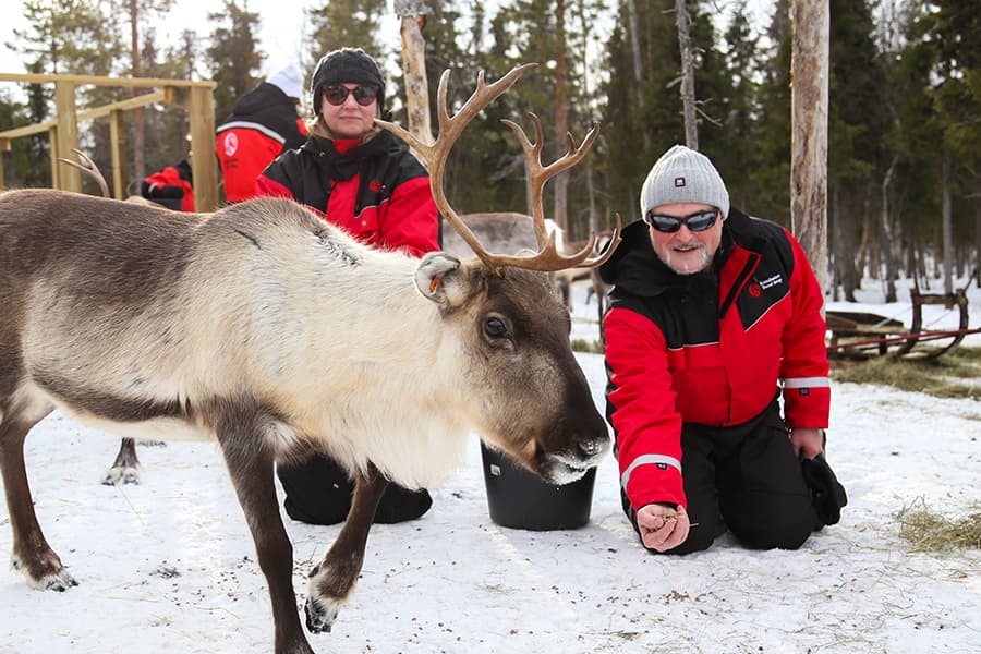 Meet the Reindeer like a local with a snowmobile sled, Levi