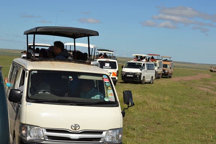 Nairobi National Park Half Day Tour