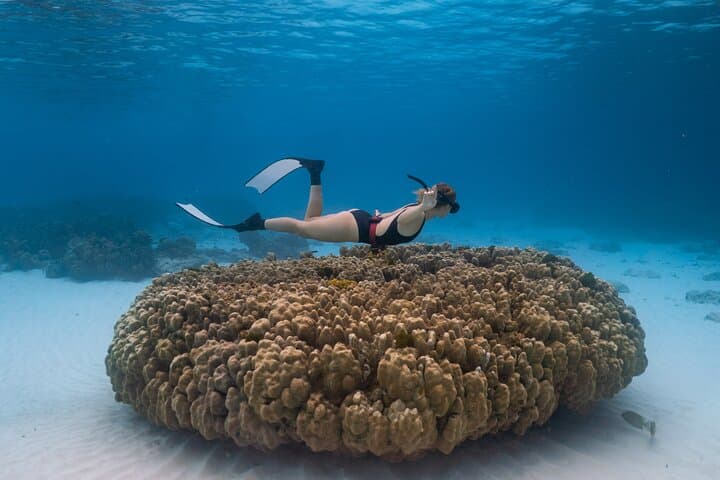 Raya Island / Mai Ton Island Private Boat Tour