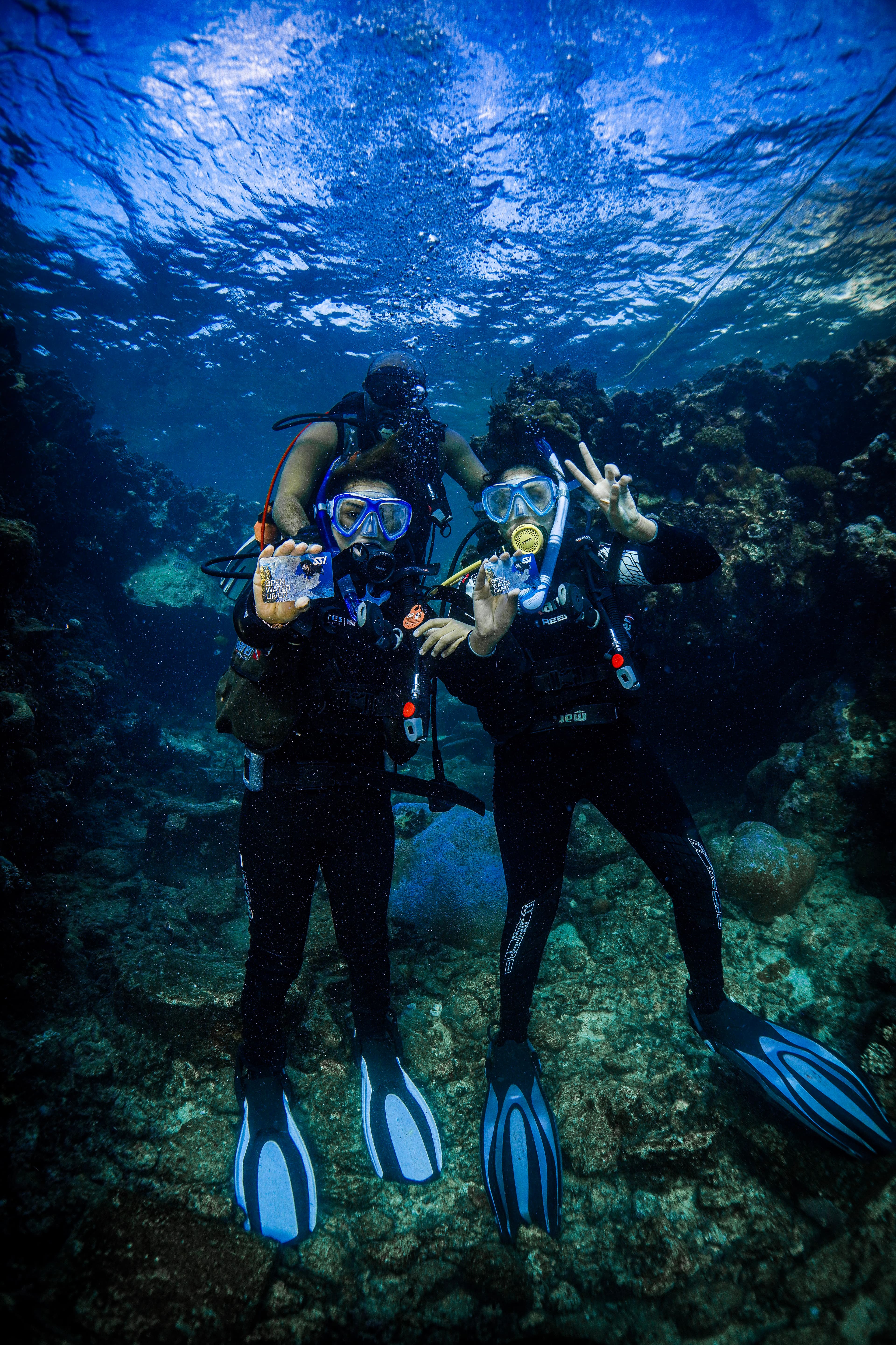 [Basic Diver] Try Scuba Diving