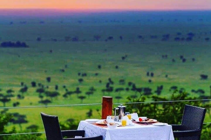 5 Day Wildlife and Gorilla Safari in Africa