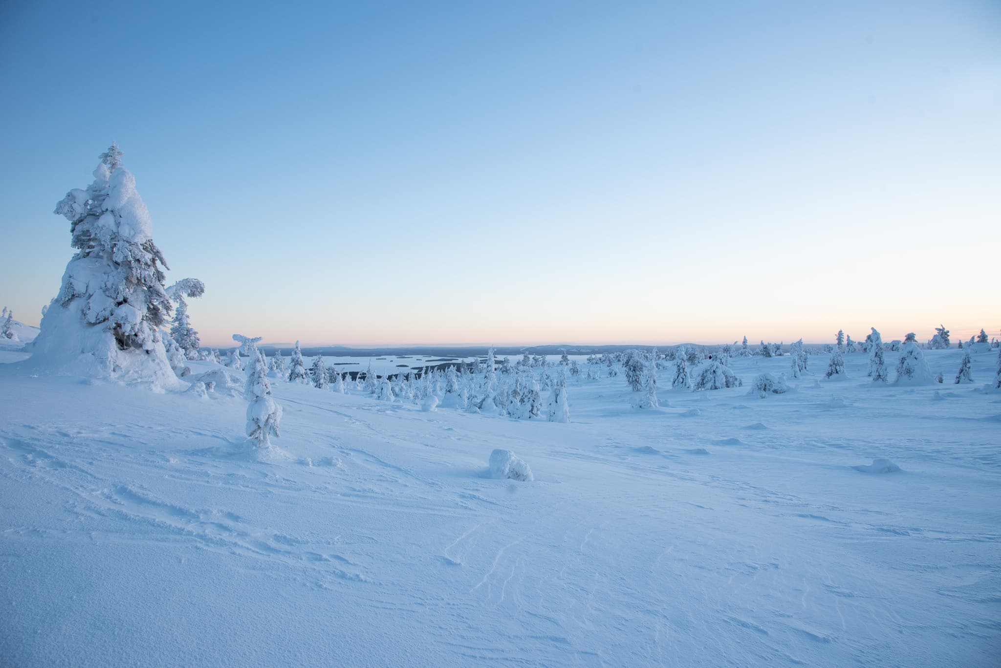 RIISITUNTURI NATIONAL PARK TOUR (Optional: Snowshoes)