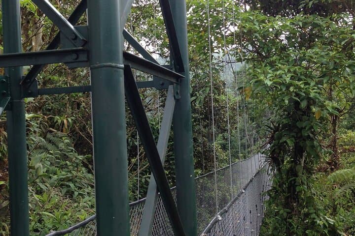 Canopy Tour in The Fabulous Hanging Bridges from San José