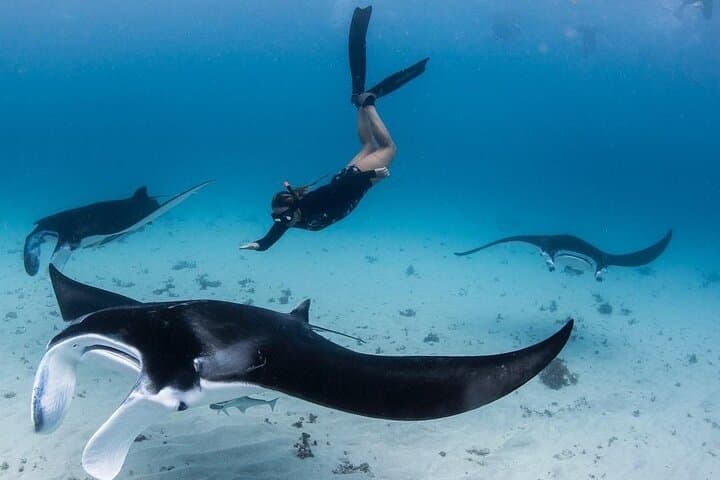 Nusa Penida One Day Trip with Snorkeling - All Inclusive