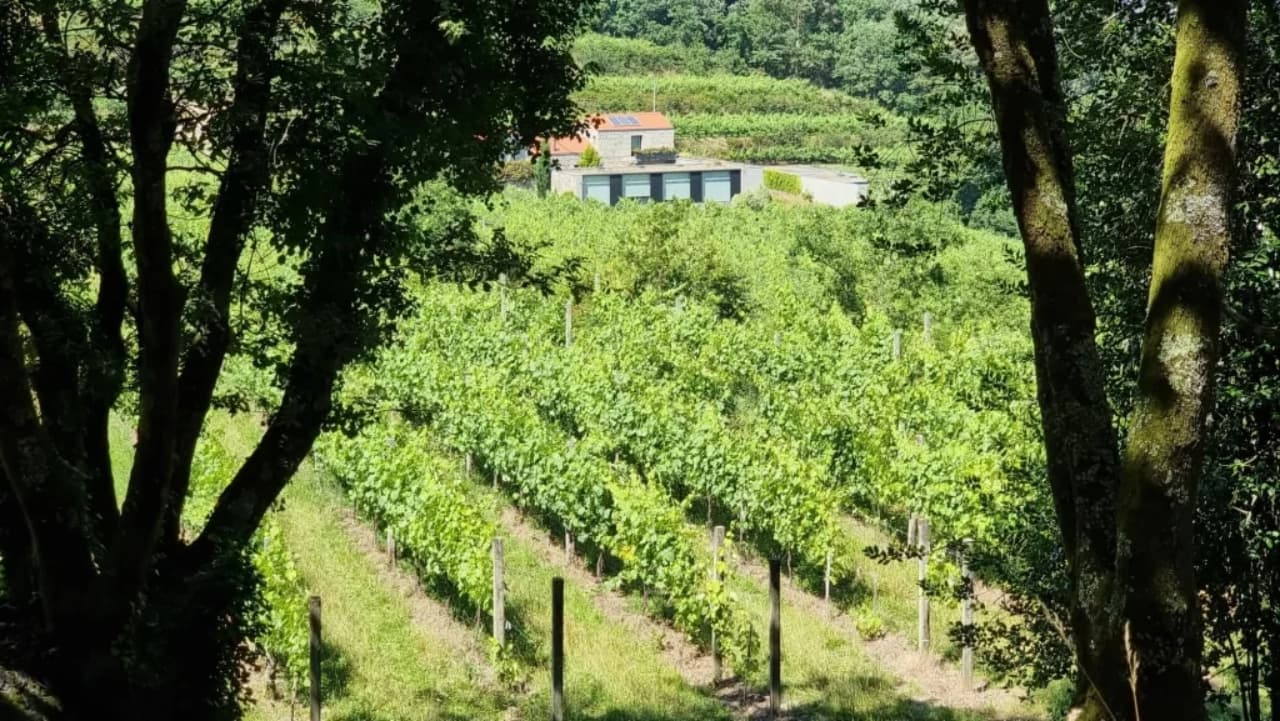 Guimarães Wine Experience – Private Premium Tasting Tour (MP)