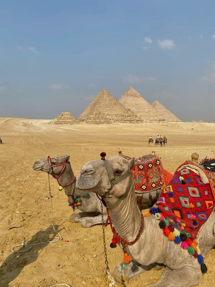 Full day Giza pyramids, Egyptian museum & Khan El Khalili Bazar