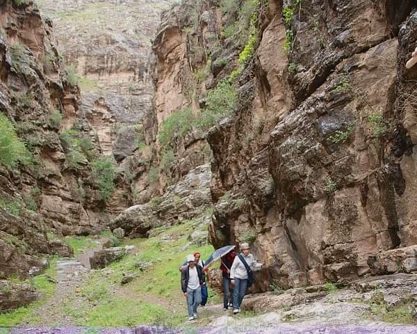 Mountain Trekking Adventure:  3-Day Tour from Samarkand