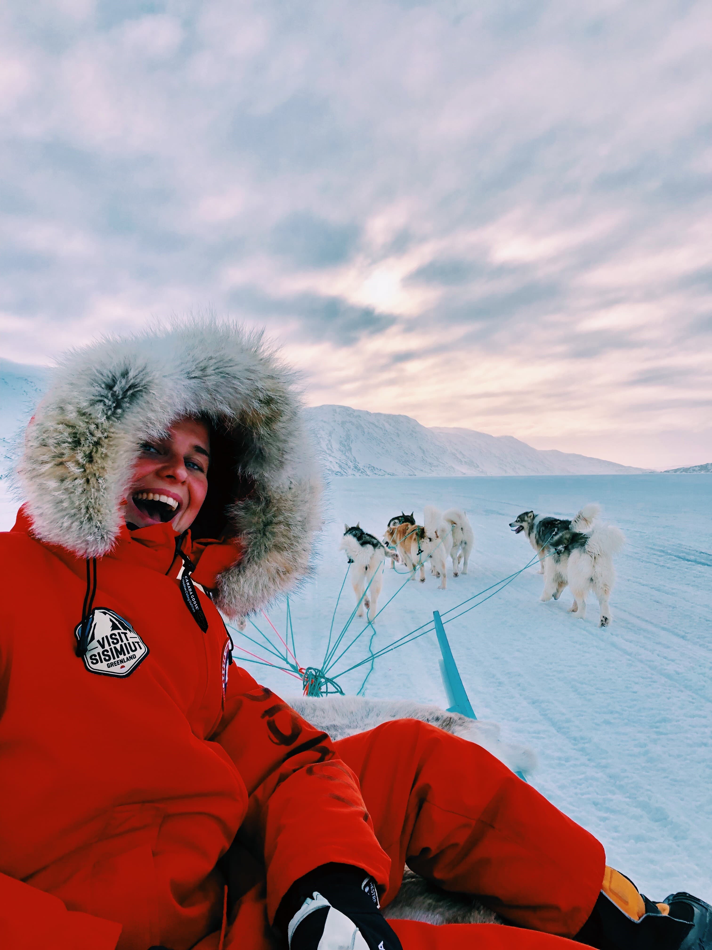 Dog sled discover tour