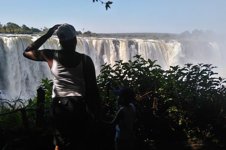 Victoria Falls Guided Tour with Pickup