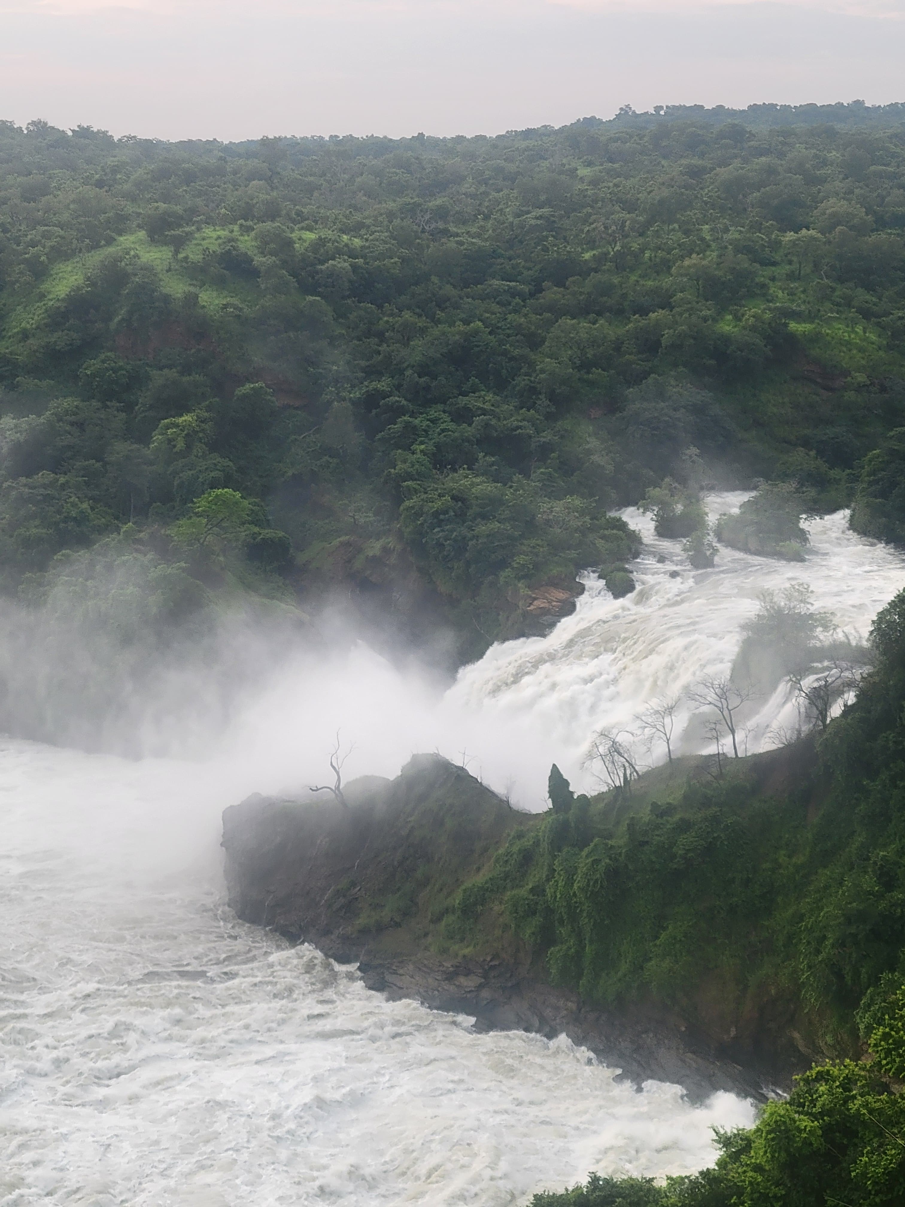 9-Day Unforgettable Gorilla and Wildlife Luxury Safari