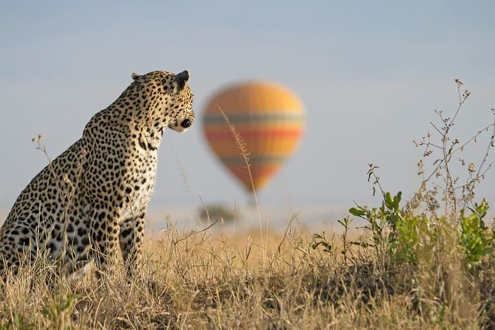 3 Days 2 Nights Maasai Mara Group Safari by 4WD From Nairobi