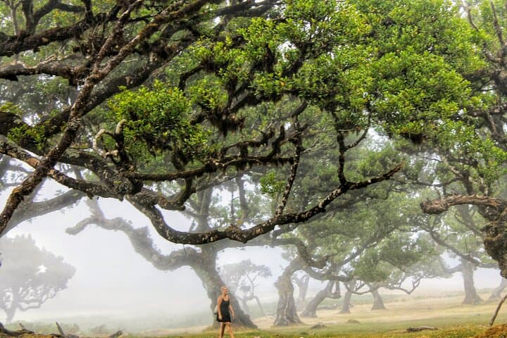 West volcanic pools & Unesco 4x4 Tour