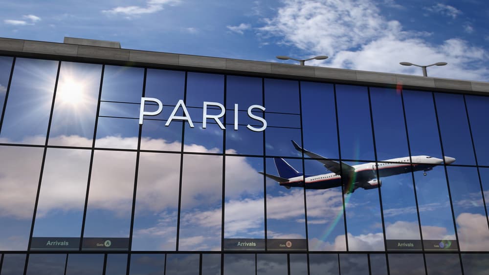 MEET&GREET - Airport Fast-track arrival (Customs, luggages) + Transfer to Paris