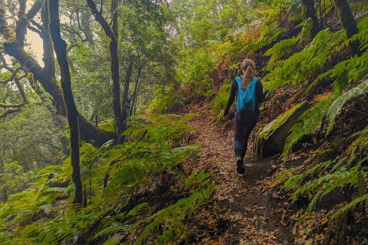 Tenerife: Hiking through Enchanted forest Above Masca with PICKUP