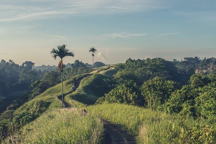 Campuhan Ridge Walk Trekking - Rice Terraces - Volcano and Water Temple 
