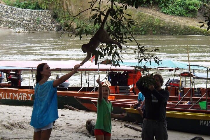 3 Days Amazon Tena From Quito