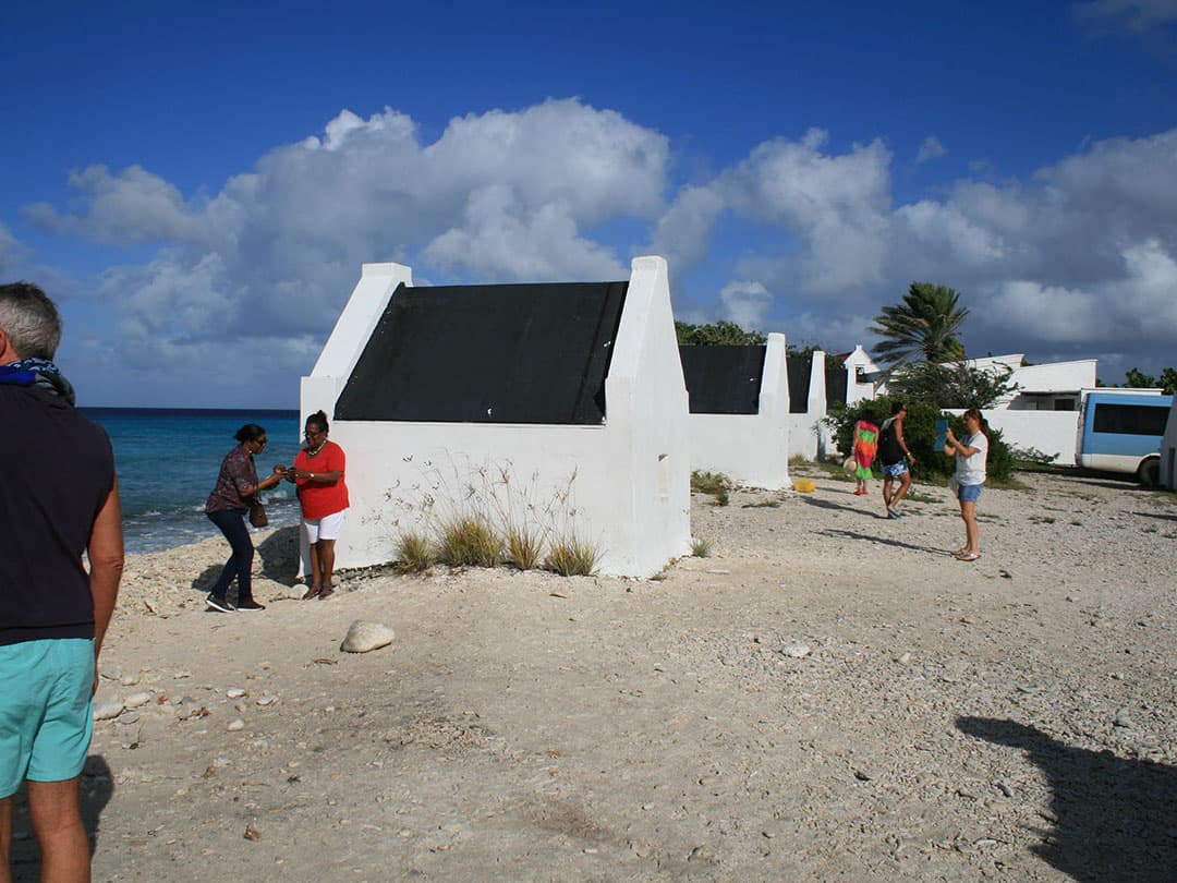 North & South Tour with Local Guide + Beach Time