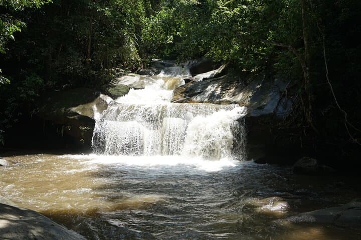  Chiang Mai Trekking Tour :Full day (no rafting)